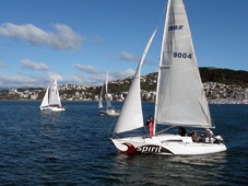 Wellington Sail